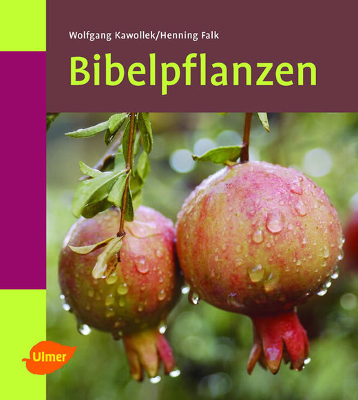 Bibelpflanzen