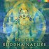 Buddha Nature Audio CD