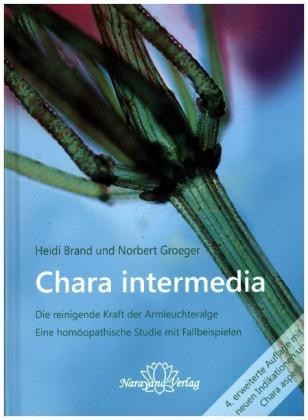 Chara intermedia