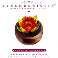 Collaborations - Echoes of Stillness Audio CD