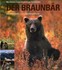 Der Braunbär