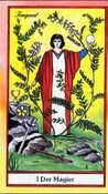 Der Kräuter-Tarot, Tarotkarten