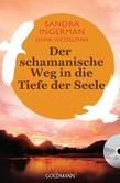 Der schamanische Weg in die Tiefe der Seele, m. Audio-CD