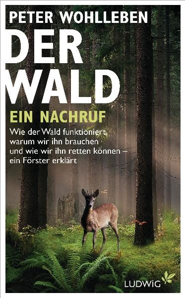 Der Wald - ein Nachruf