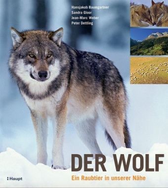 Der Wolf