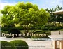 Design mit Pflanzen