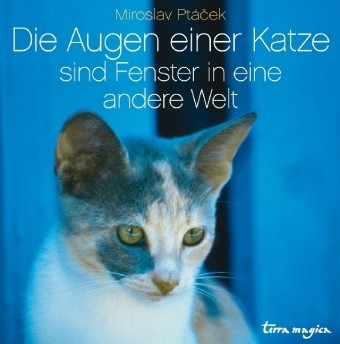 Die Augen einer Katze sind Fenster in eine andere Welt