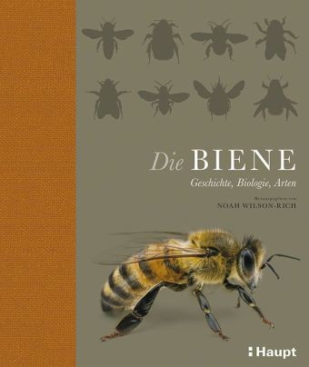 Die Biene