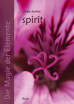 Die Magie der Elemente - Band 5: Spirit