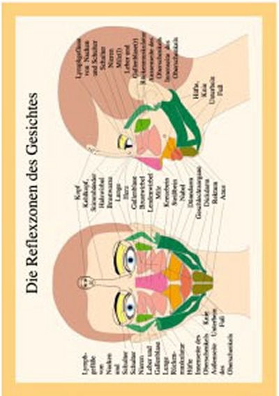 Die Reflexzonen des Gesichtes