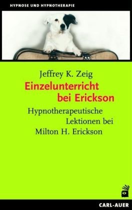 Einzelunterricht bei Erickson