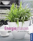 Energiepflanzen für mein Zuhause