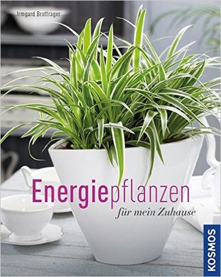 Energiepflanzen für mein Zuhause