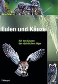 Eulen und Käuze