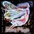 Fairy Magic - 3 Wishes (Englisch) Audio CD