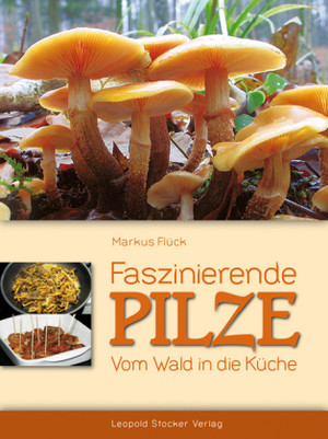 Faszinierende Pilze