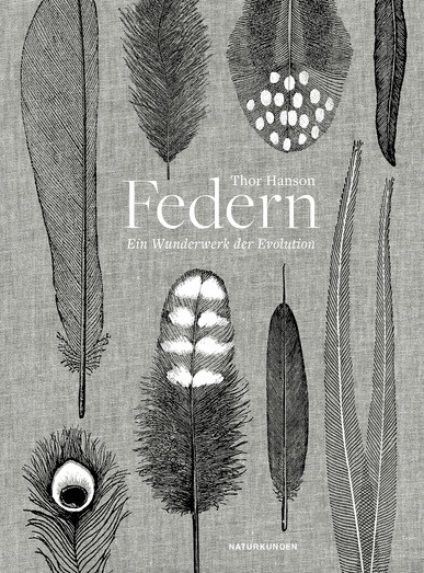 Federn