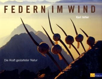 Federn im Wind