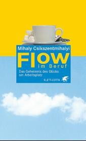 Flow im Beruf