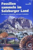 ROT // Fossilien sammeln im Salzburger Land