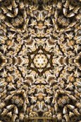 Fuss-Chakra - 4 ELEMENTE & BIENEN
