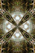 Fuss-Chakra - Element Erde