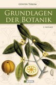 ROT // Grundlagen der Botanik