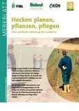 Hecken planen, pflanzen, pflegen