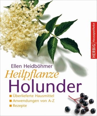 Heilpflanze Holunder