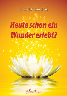 Heute schon ein Wunder erlebt? E-Book