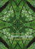 Imagami-Postkarten-Mappe Baum und Wald (12 imagami Postkarten)