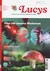 Lucy's Rausch Nr. 20