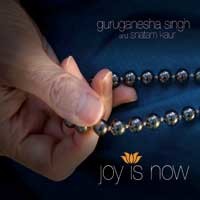 Joy is Now Audio CD