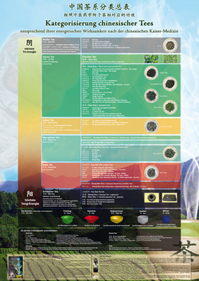 Kategorisierung chinesischer Tees Lehrtafel