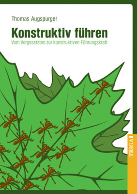 Konstruktiv führen