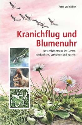 Kranichflug und Blumenuhr