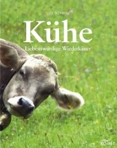 Kühe