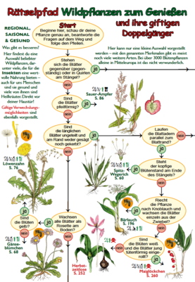 Rätselpfad Wildpflanzen zum Genießen (digital)