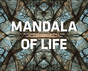 Mandala of Life