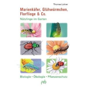 Marienkäfer, Glühwürmchen, Florfliege & Co.