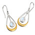 Swinging Moon Earrings w/ Moonstone