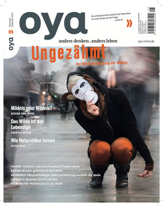 Oya Ausgabe Nr. 05, November - Dezember 2010