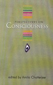 Perspectives on Consciousness