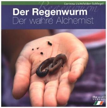 Regenwurm