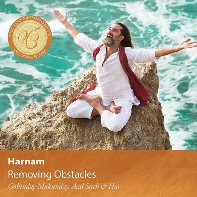 Removing Obstacles - Audio-CD