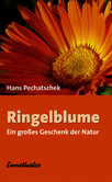 Ringelblume