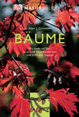 Rot / Bäume