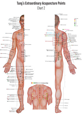 Set Chart 1+2 Tung's Extraordinary Acupuncture Points on the regular channels, Poster