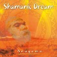 Shamanic Dream Vol. 1 Audio CD