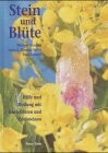 ROT//Stein und Blüte